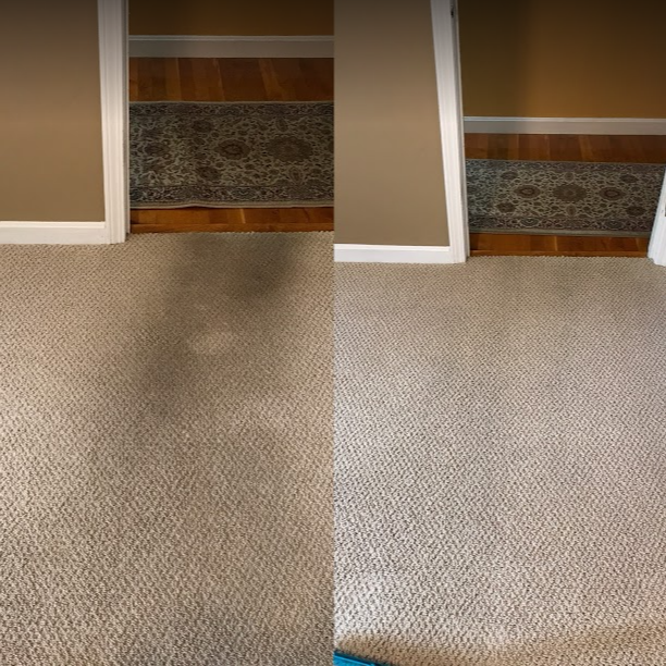 Before and After Carpet Cleaning in Worcester MA
